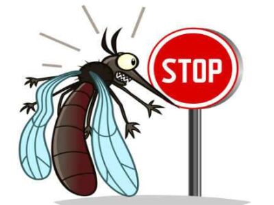 Top 10 Safety Precautions Against Mosquitoes, Especially Malaria & Dengue