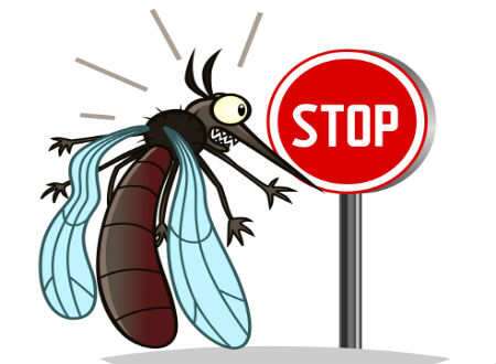 Top 10 Safety Precautions Against Mosquitoes, Especially Malaria & Dengue