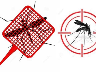 Best and Top 6 Methods To Kill The Mosquitoes; Stay Healthy