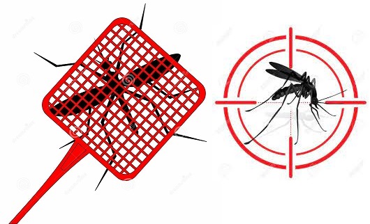 Best and Top 6 Methods To Kill The Mosquitoes; Stay Healthy